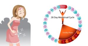 menstural-cycle-1